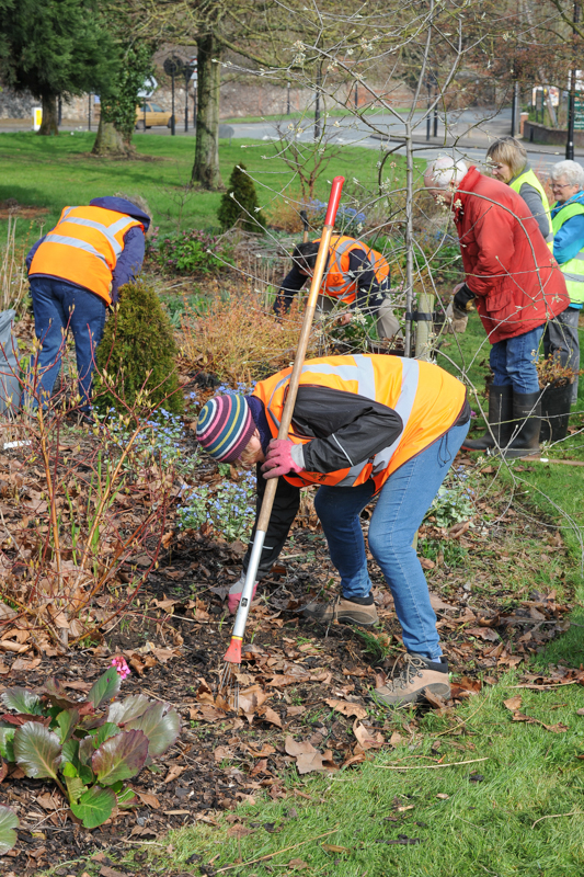 Volunteers gardening at the Tollgate Triangle tidy-up