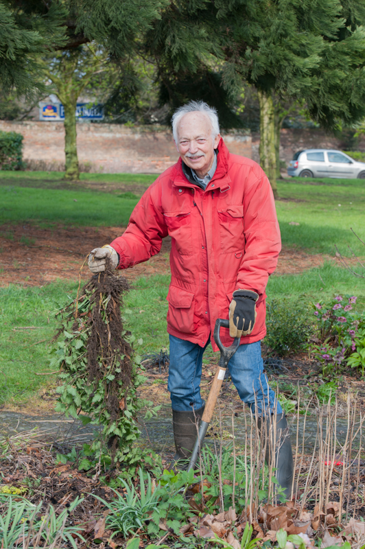 Adrian Bloom doing some gardening at the Tollgate Triangle tidy-up